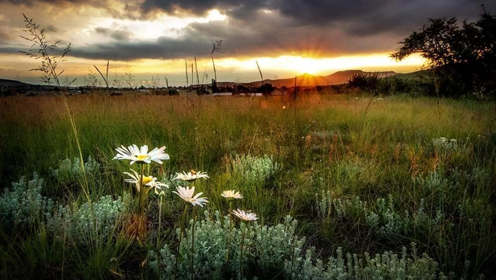 Wetlands Country House & Sheds Wakkerstroom Экстерьер фото