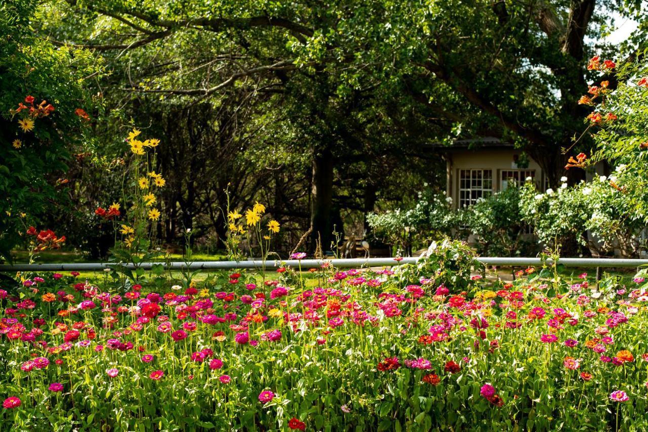 Wetlands Country House & Sheds Wakkerstroom Экстерьер фото